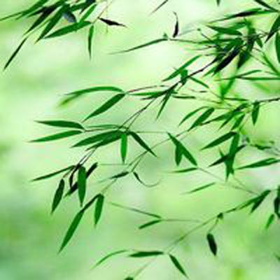 剑逆仙侠手游官方