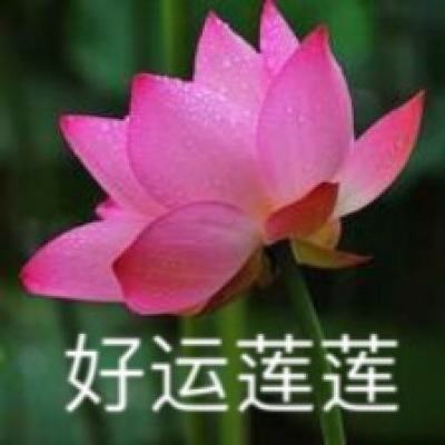 斗罗斩仙手游