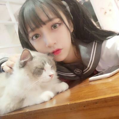 迷你吃鸡破解版下载